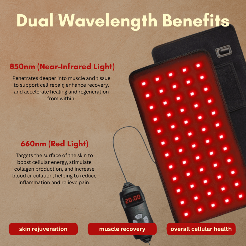 EvrEase™ Portable Therapy Belt