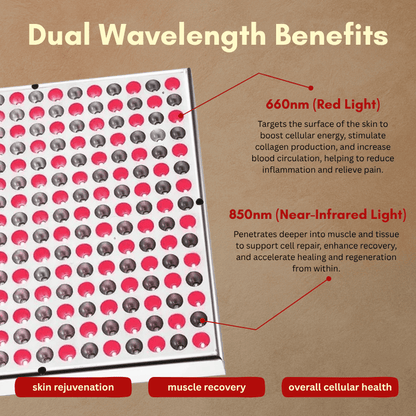 EvrEase™ Radiance Panel